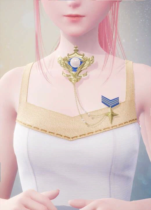 proof_on_stage-chest_accessories